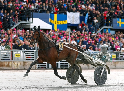 Blir det femte gången gillt för Propulsion i Elitloppet på söndag? Foto av Maria Holmén/TR Bild
